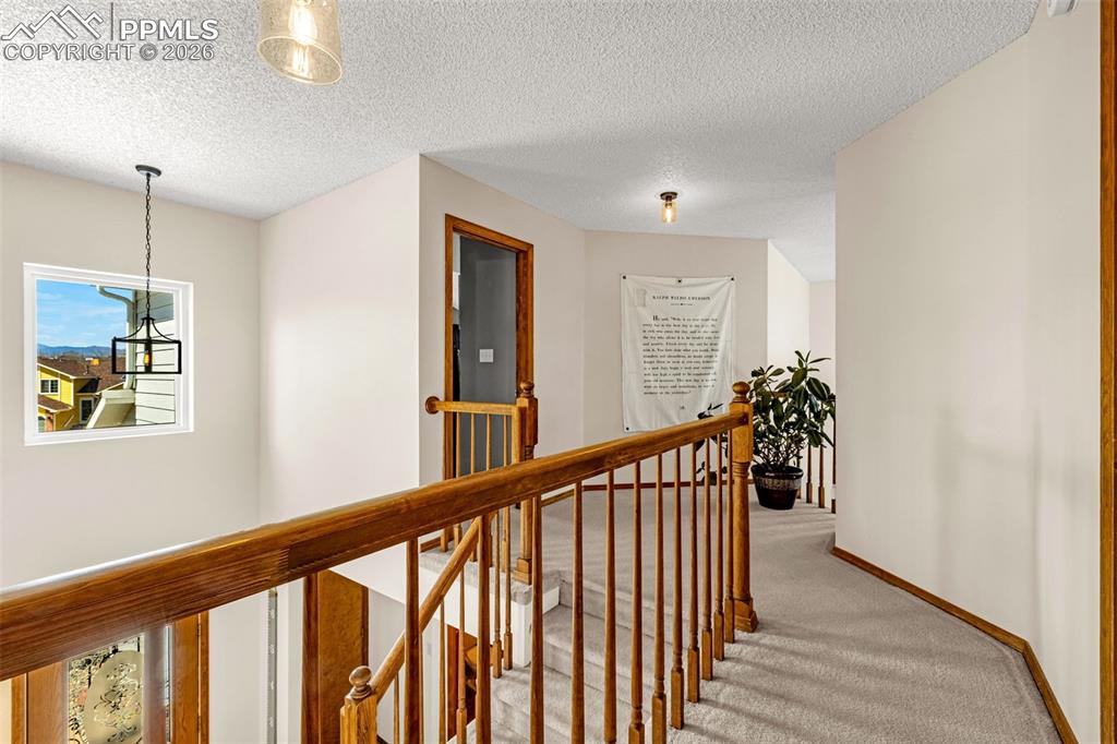 Image 17 of 44: Other