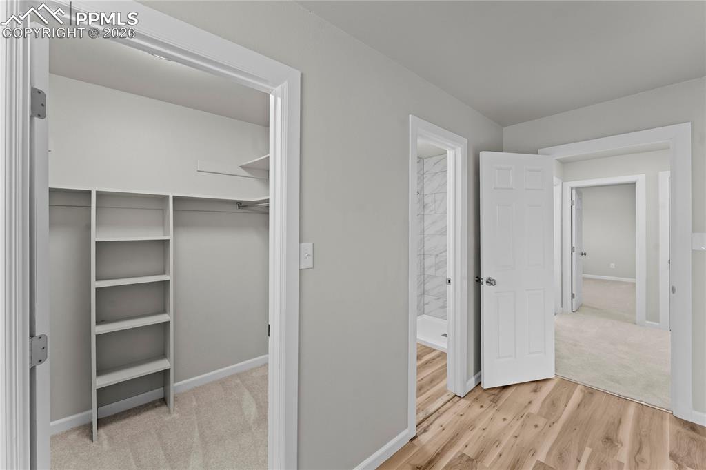 Image 30 of 50: Other