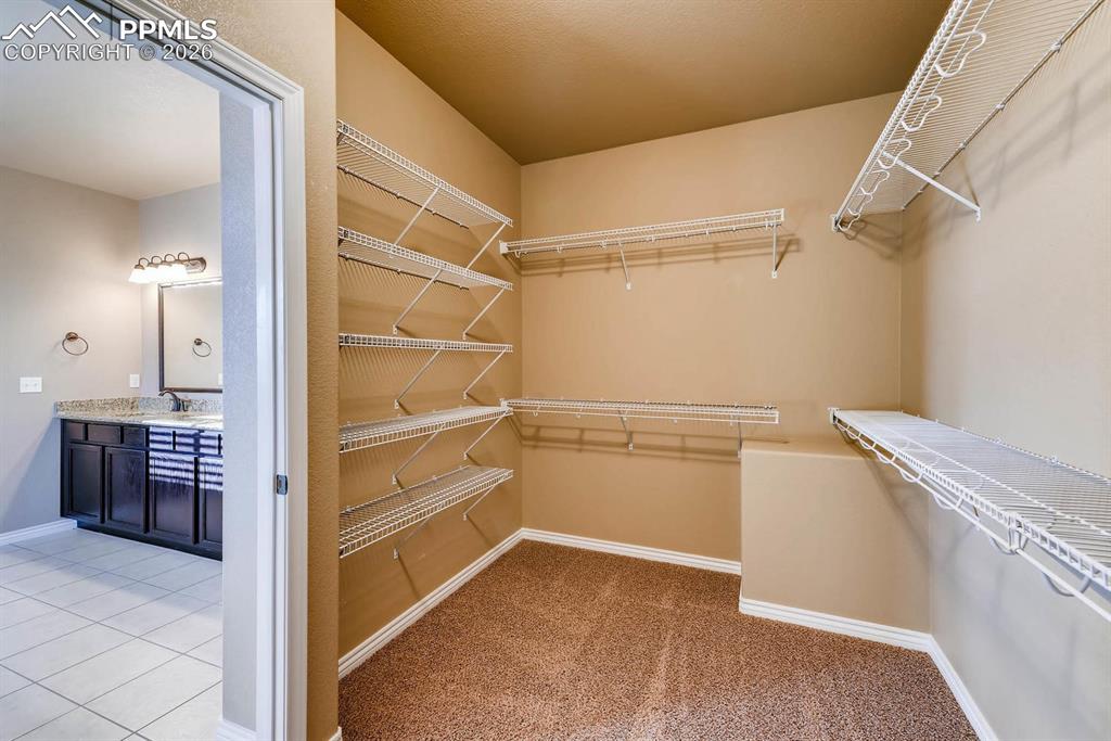 Image 17 of 28: Walk in closet with light carpet
