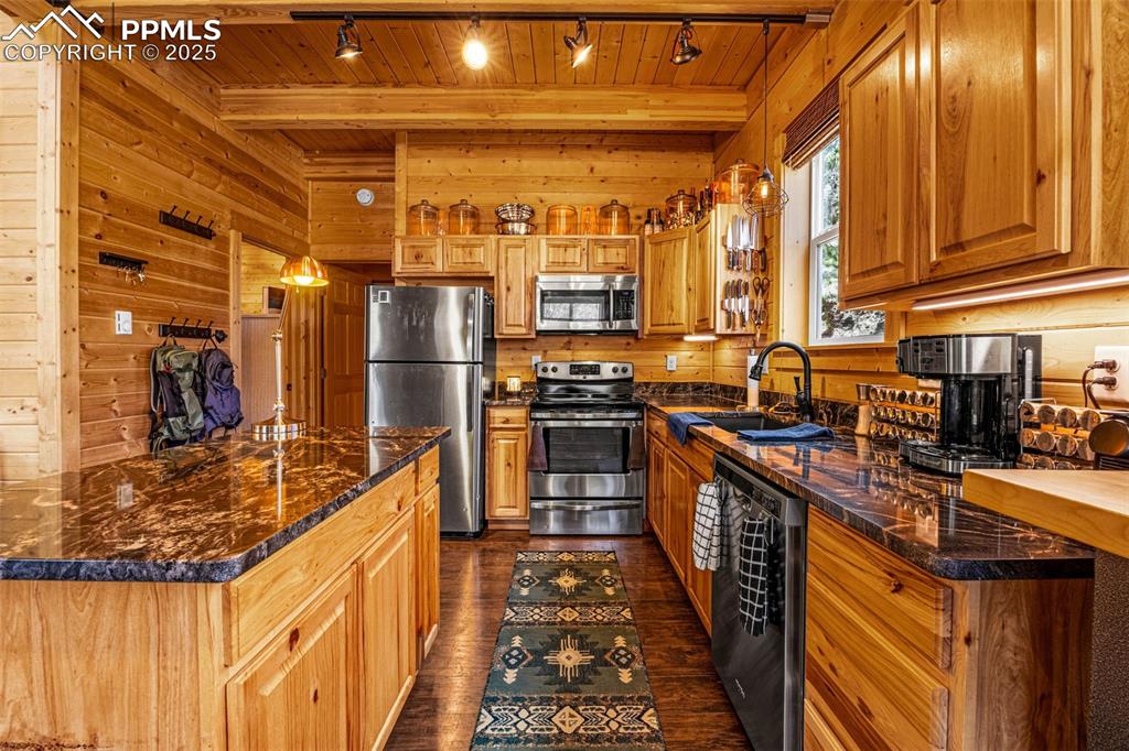 Image 10 of 45: Kitchen with stainless steel appliances, rail lighting, a sink, wooden wall