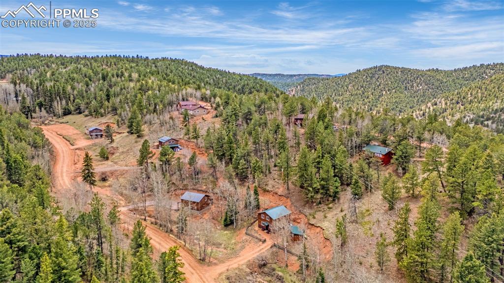 Image 30 of 45: Drone / aerial view of a heavily wooded area and a mountain backdrop