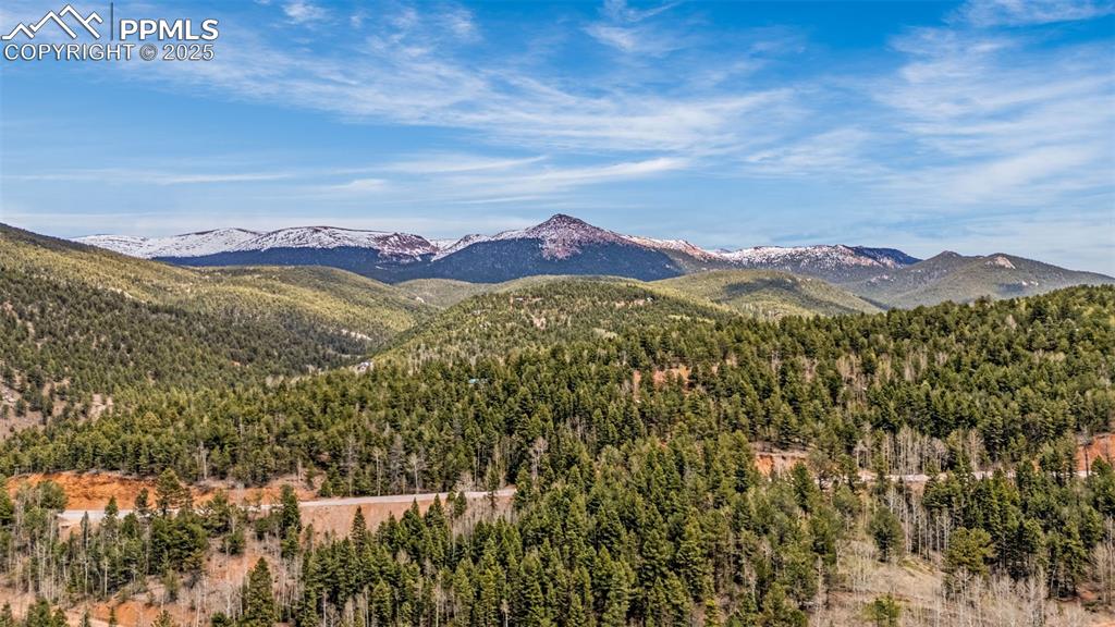 Image 31 of 45: Mountain view featuring a forest