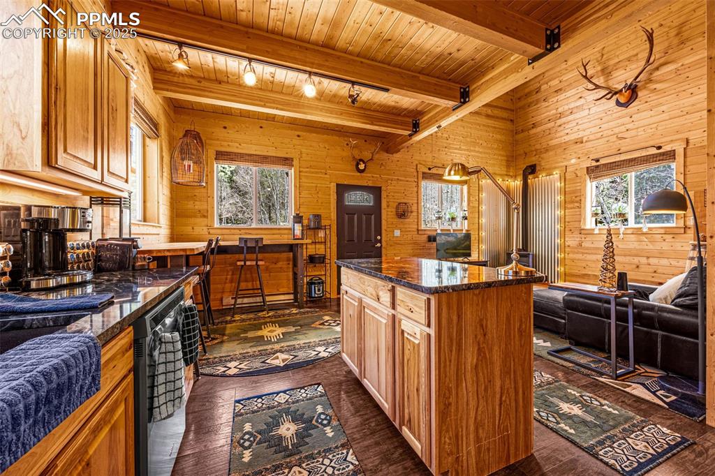 Image 9 of 45: Kitchen with track lighting, wood walls, plenty of natural light, wooden ce