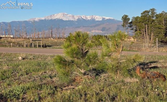 Image 16 of 22: View