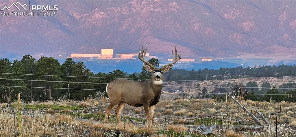 Image 19 of 22: Other