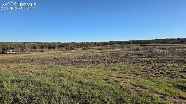 Image 22 of 22: Other