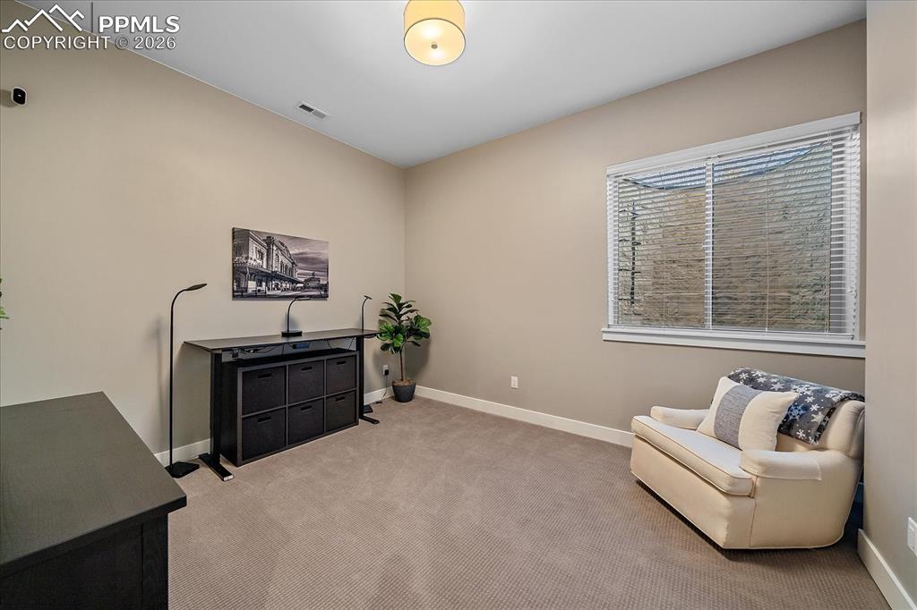 Image 37 of 50: Basement secondary bedroom with 10
