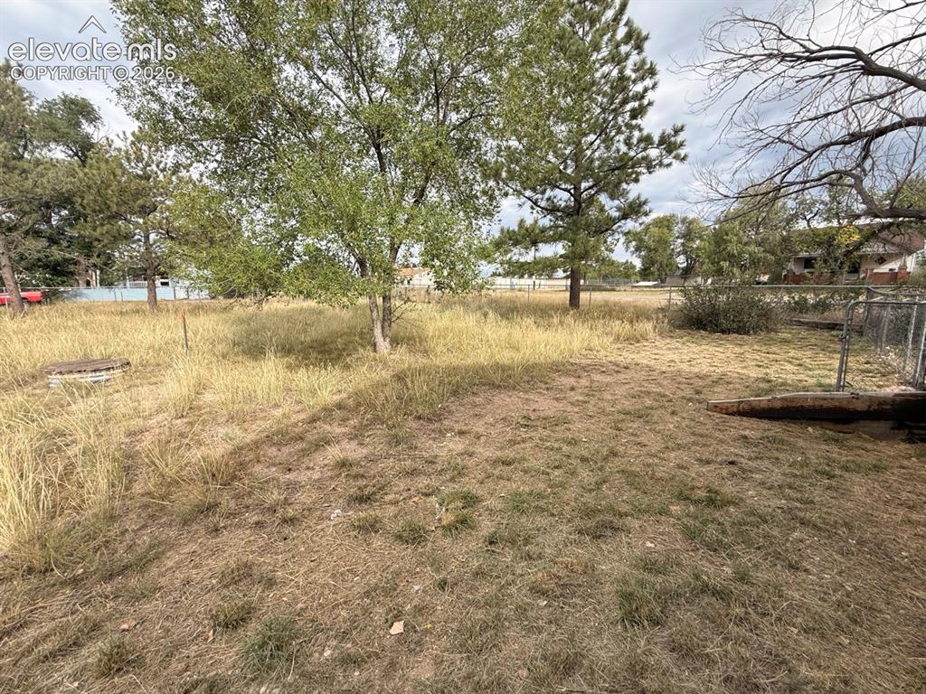 Image 49 of 50: Yard