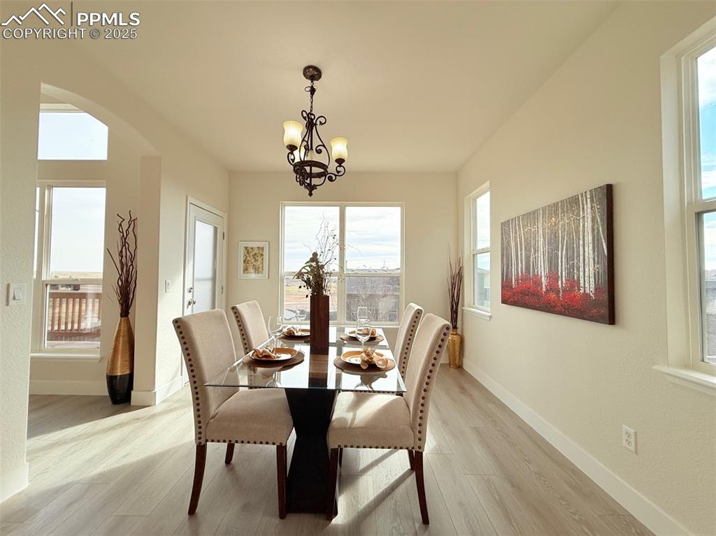 Image 16 of 49: Dining area with light wood finished floors, plenty of natural light, arche