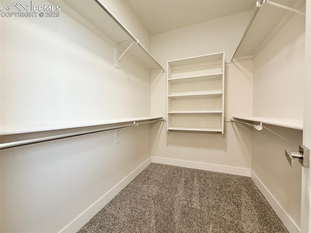 Image 22 of 49: Walk in closet featuring dark carpet