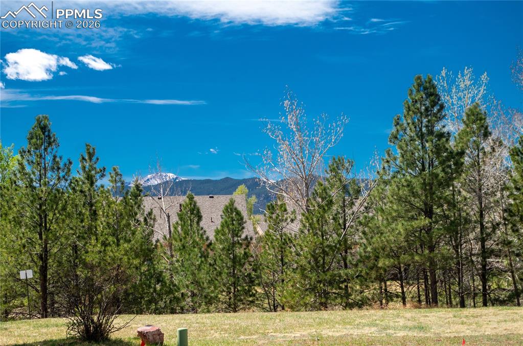 Image 38 of 43: View