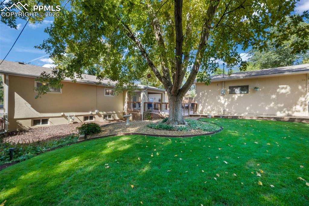 Image 45 of 50: Yard