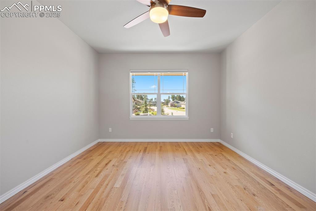 Image 25 of 50: Other