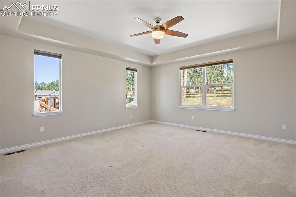 Image 29 of 50: Other