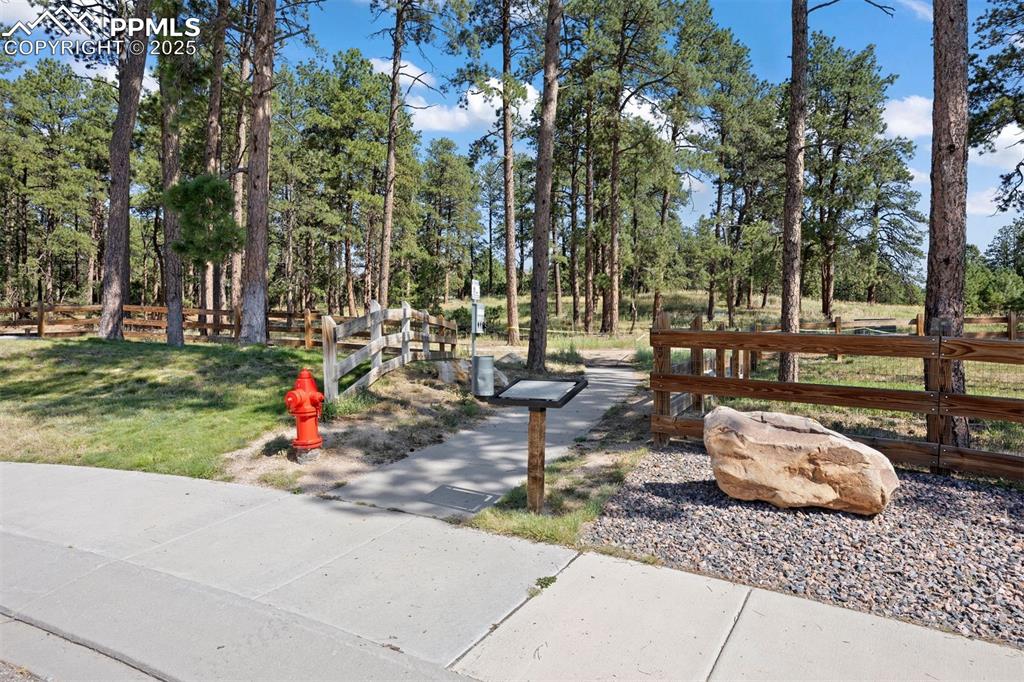 Image 44 of 50: Community