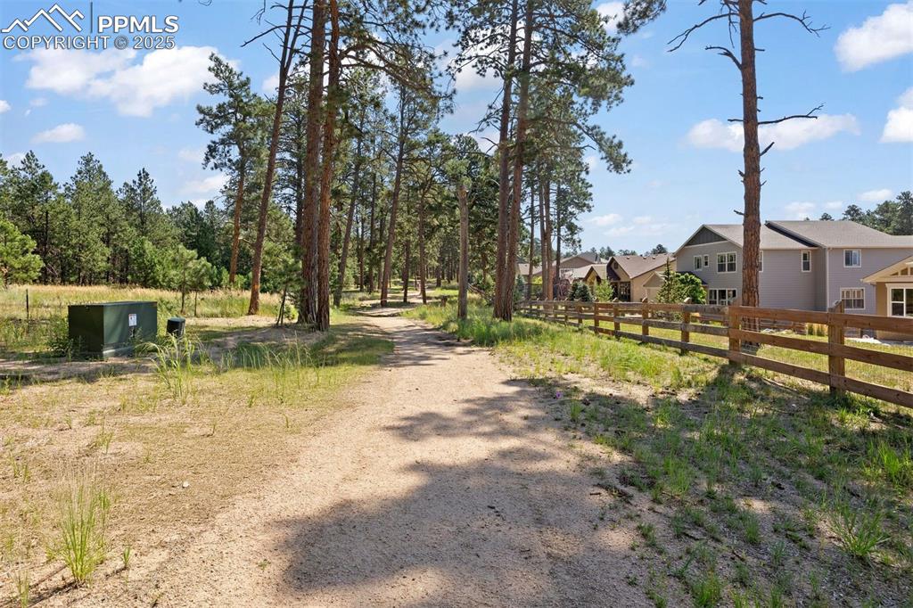 Image 45 of 50: Community