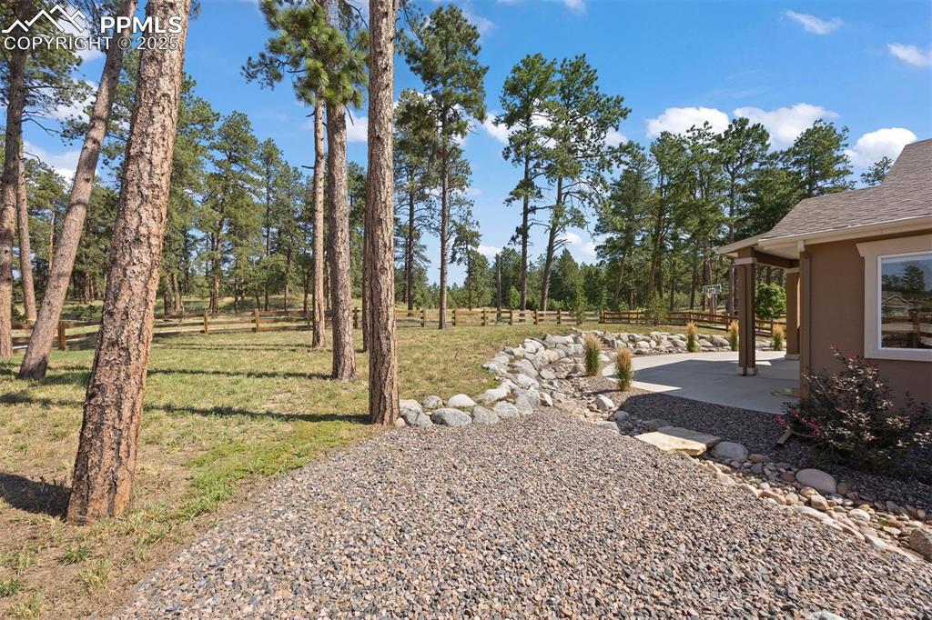 Image 48 of 50: Yard