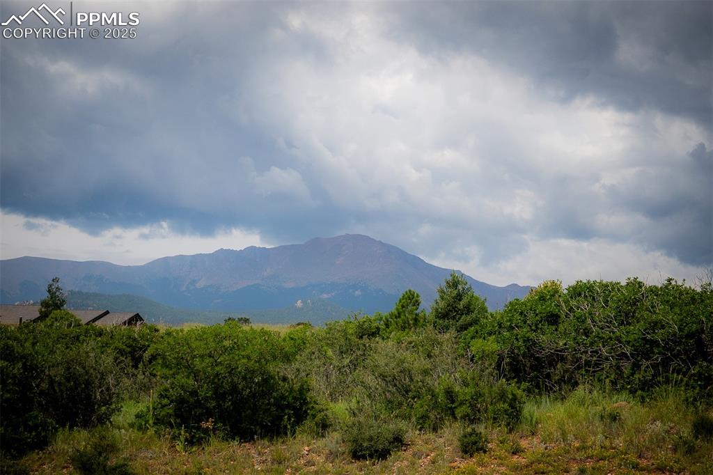 Image 8 of 44: View