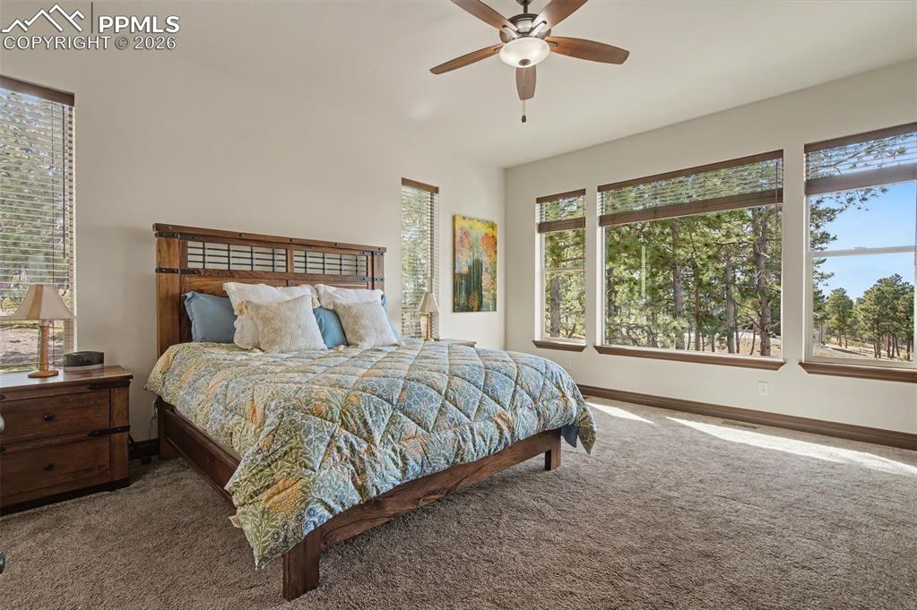 Image 24 of 50: Master Bedroom