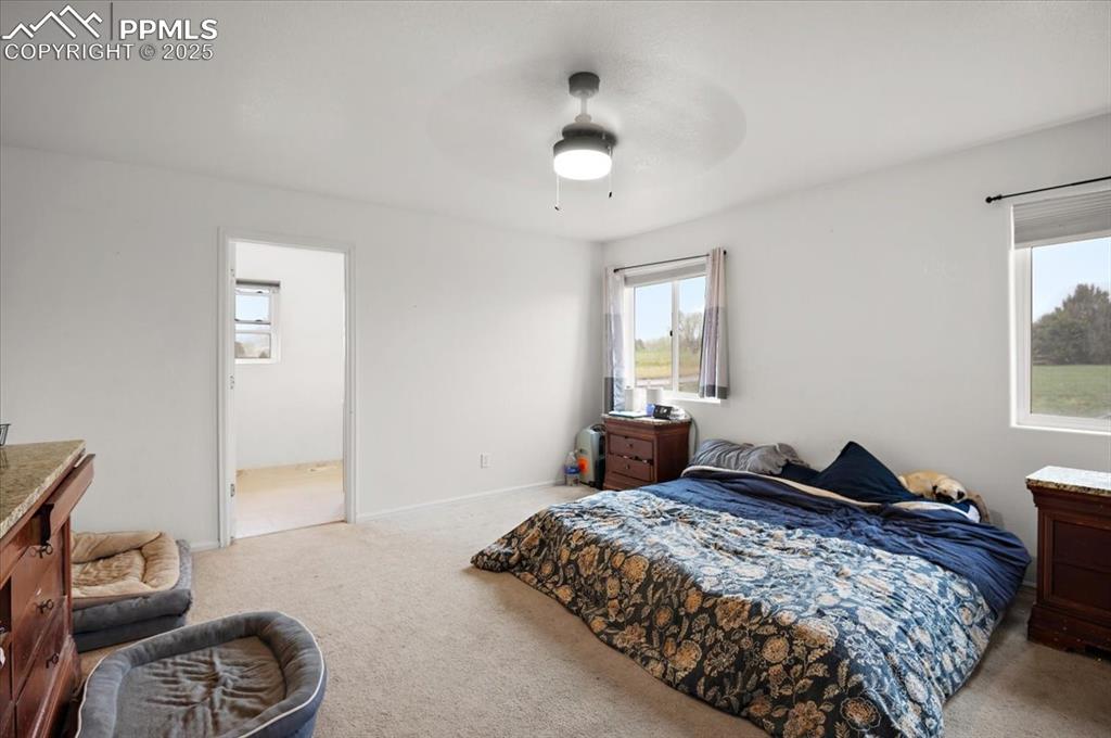 Image 21 of 38: Bedroom featuring carpet flooring, multiple windows, and ceiling fan