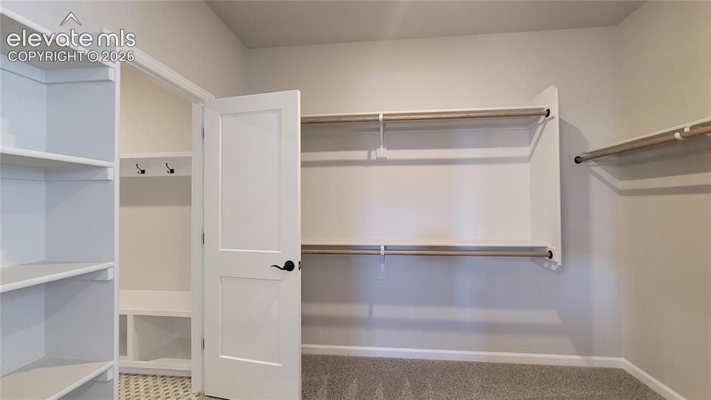 Image 30 of 50: 2 of 2 Primary walk-in closets with wood shelving and rods, conveniently at