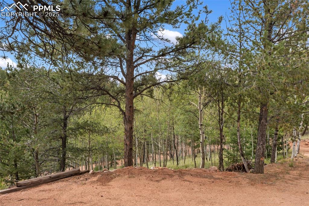 Image 42 of 45: View of wooded area