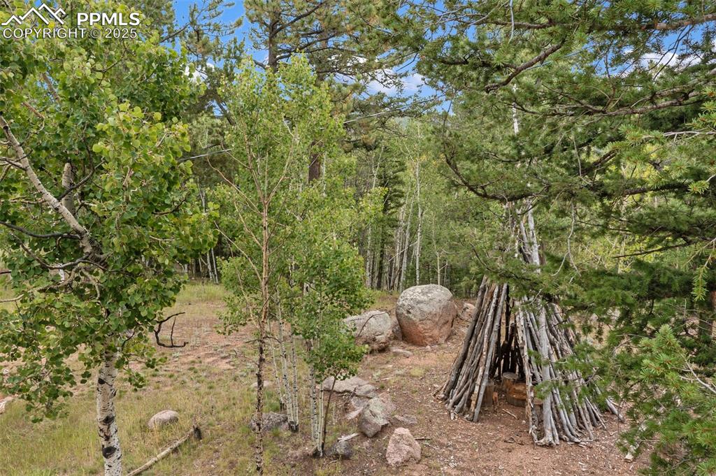 Image 5 of 45: View of tree filled area