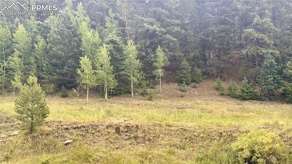 Image 2 of 44: Other