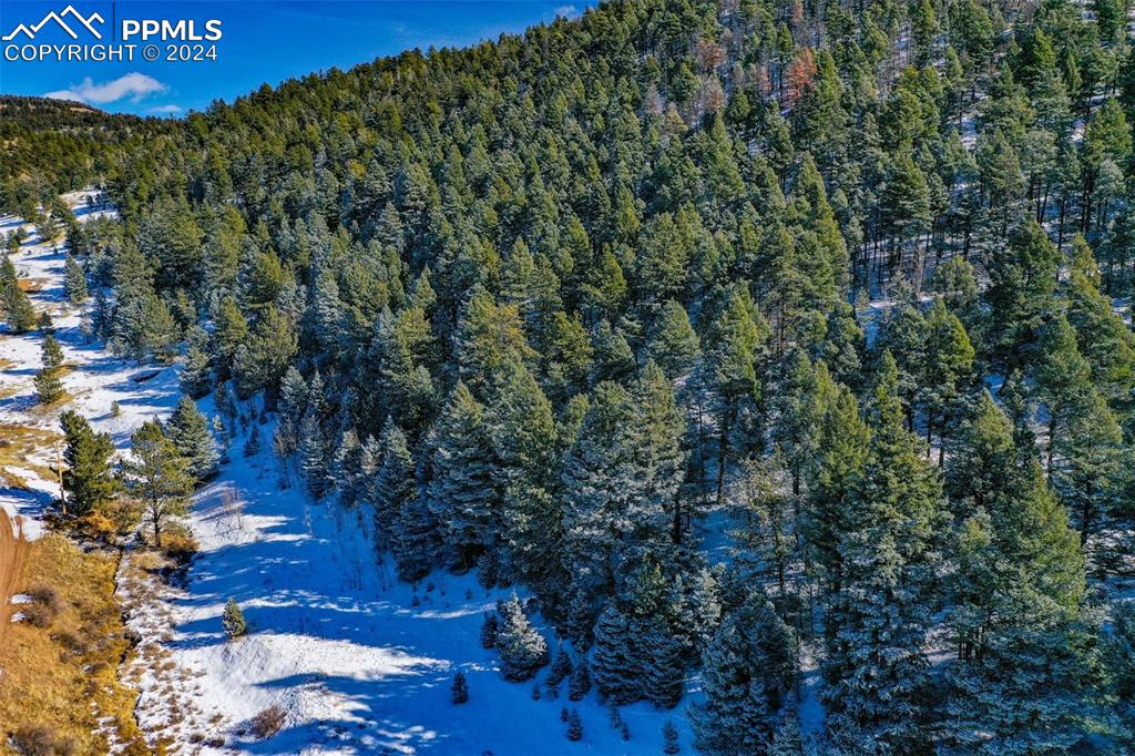 Image 29 of 44: View