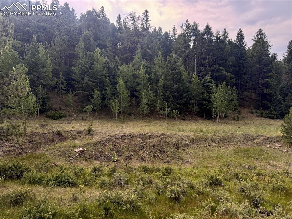 Image 3 of 44: Other