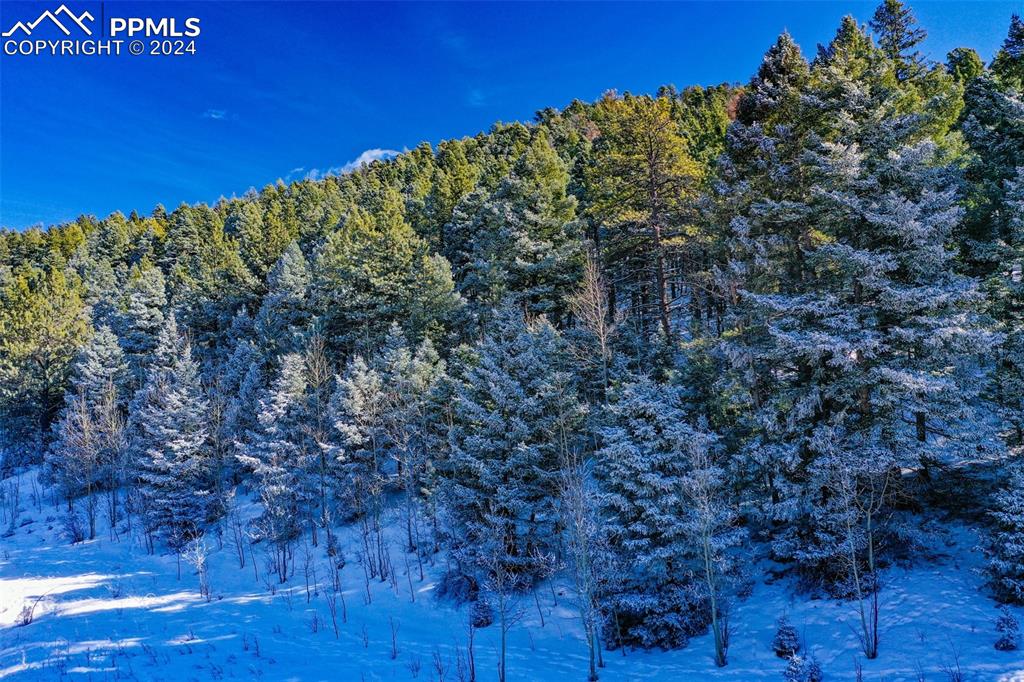 Image 33 of 44: View