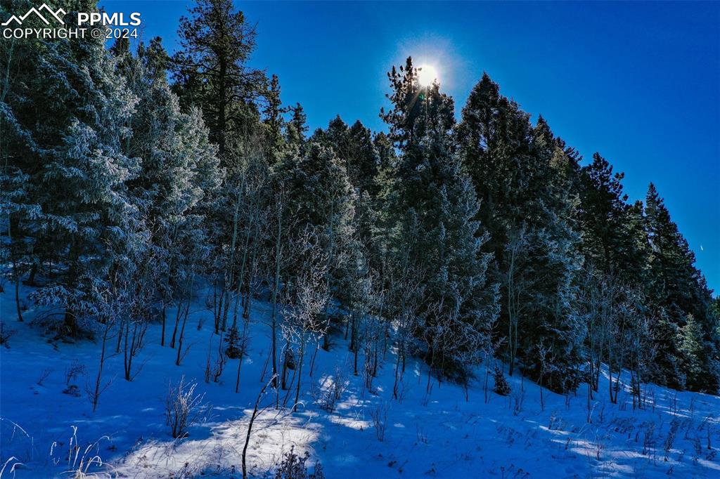 Image 37 of 44: Other