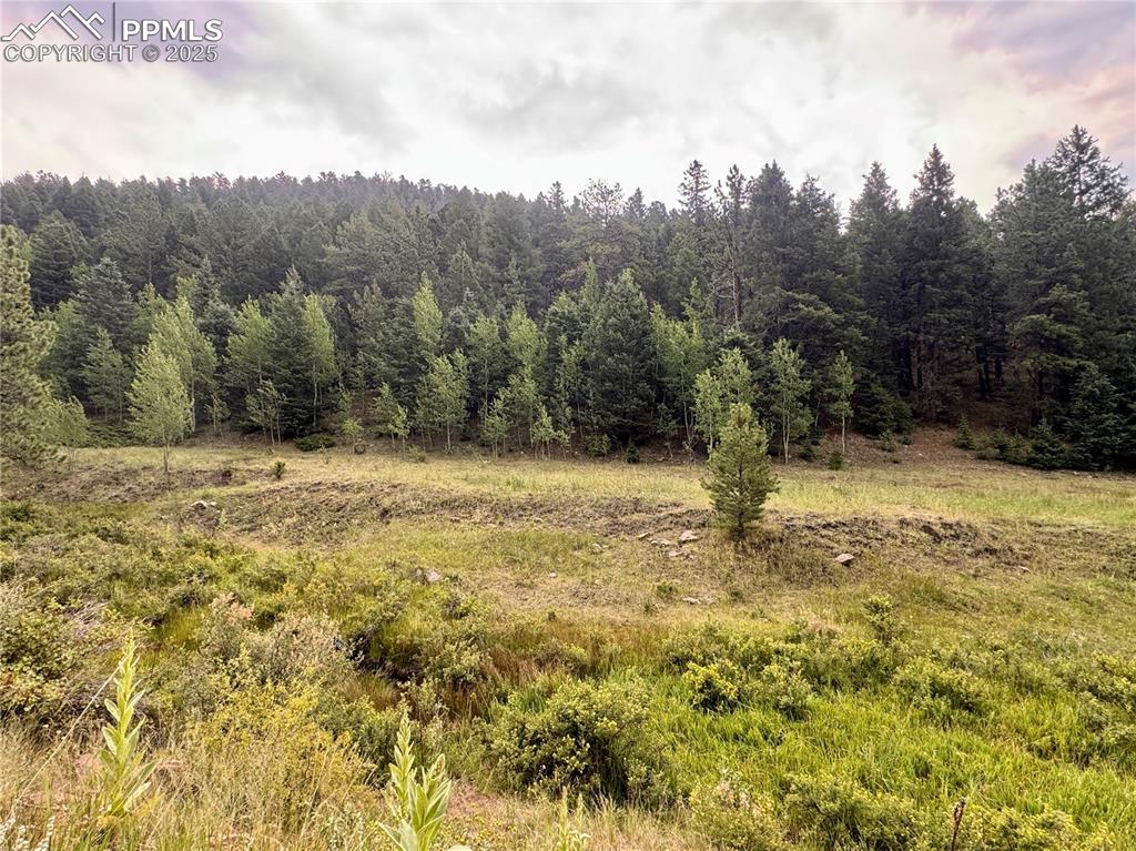 Image 4 of 44: Other