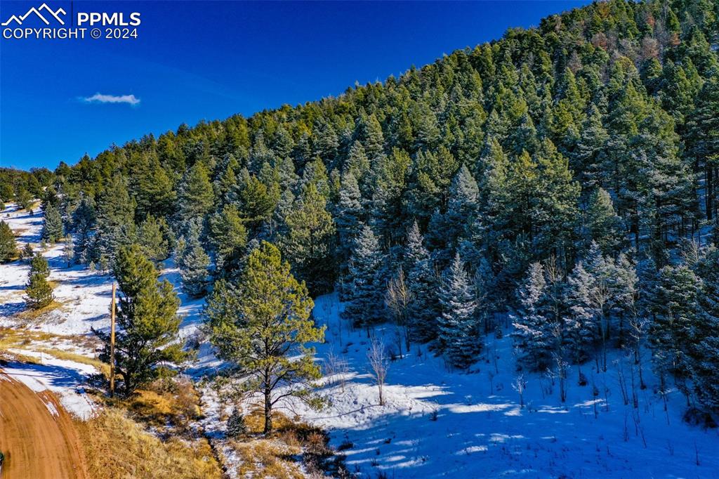 Image 41 of 44: View