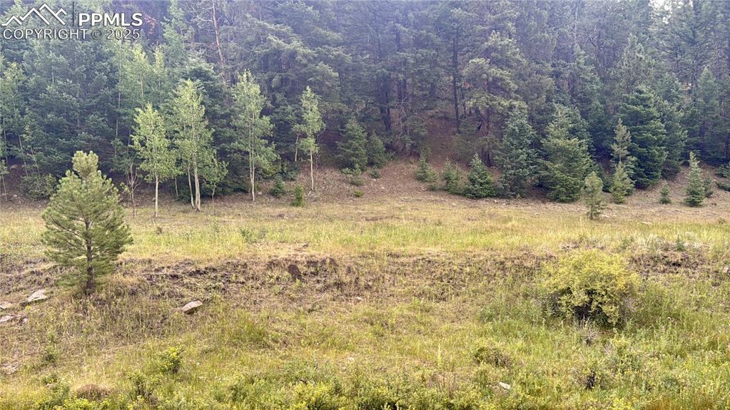 Image 6 of 44: Other