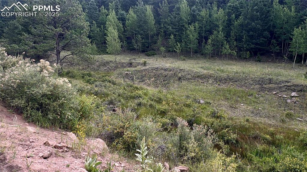 Image 7 of 44: Other