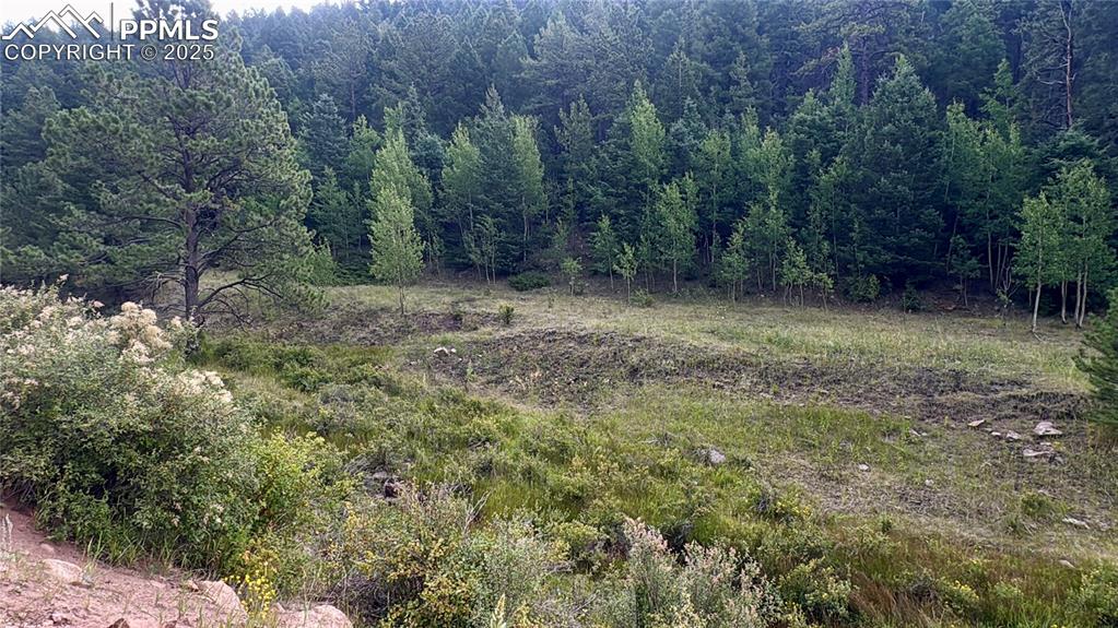 Image 8 of 44: Other