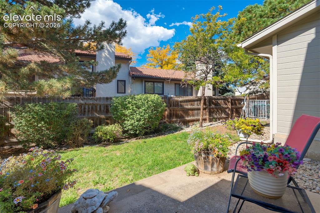 Image 29 of 50: Expansive concrete patio with a manicured lawn, surrounding mature trees, a