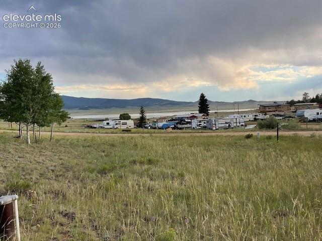 Image 15 of 36: Expansive open land featuring natural grasses and scattered trees