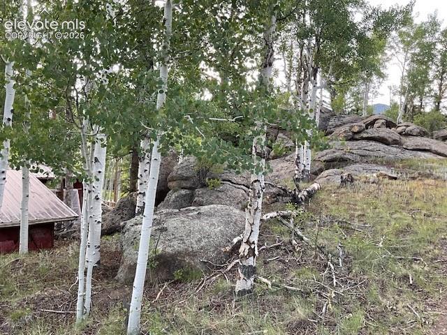 Image 16 of 36: Natural landscaping with numerous aspen trees and large rock formations