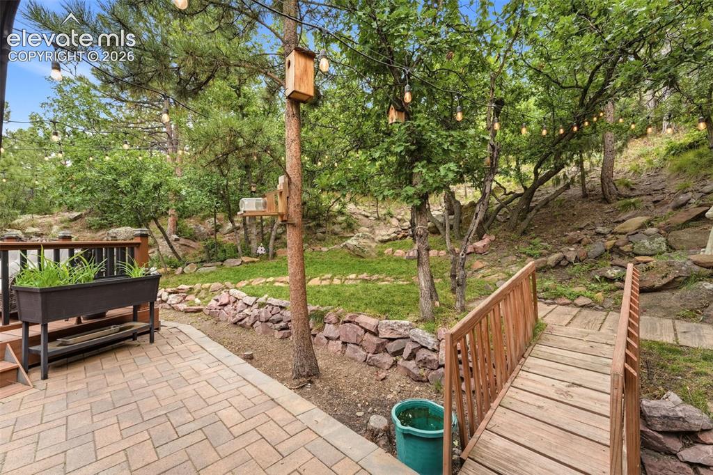 Image 19 of 42: Wooden bridge leading to the woods - your own climbing hill