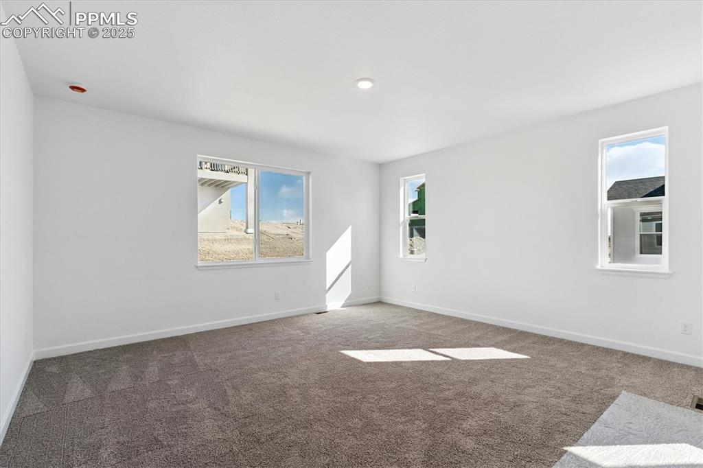 Image 13 of 20: Other