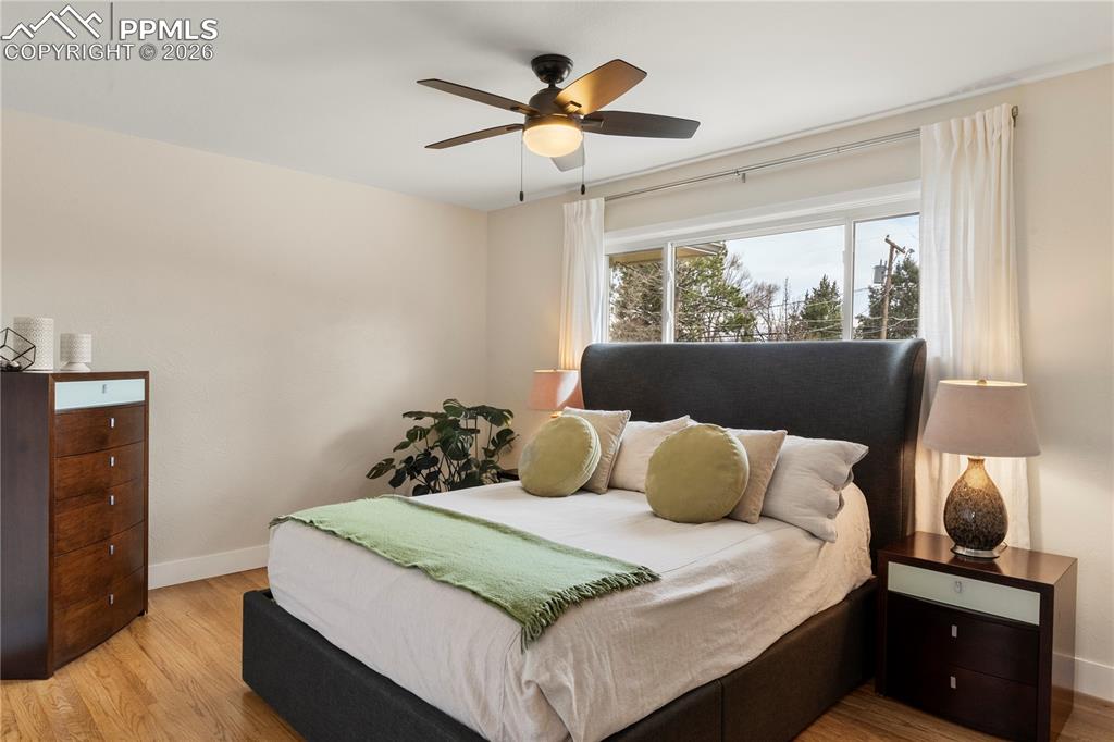 Image 5 of 29: Primary