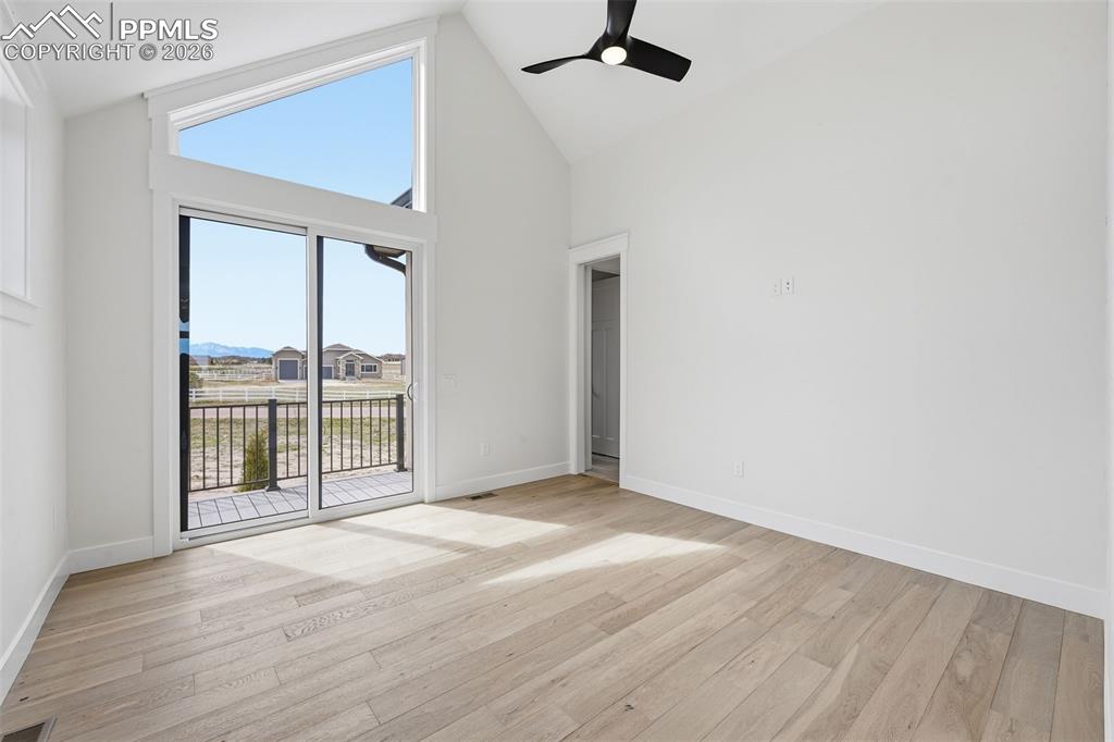 Image 22 of 50: Other