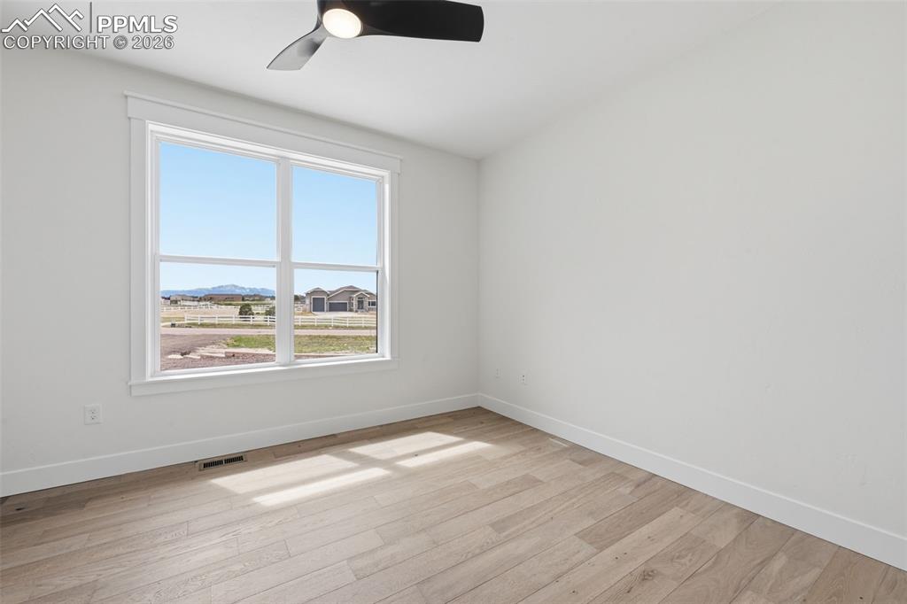 Image 27 of 50: Other