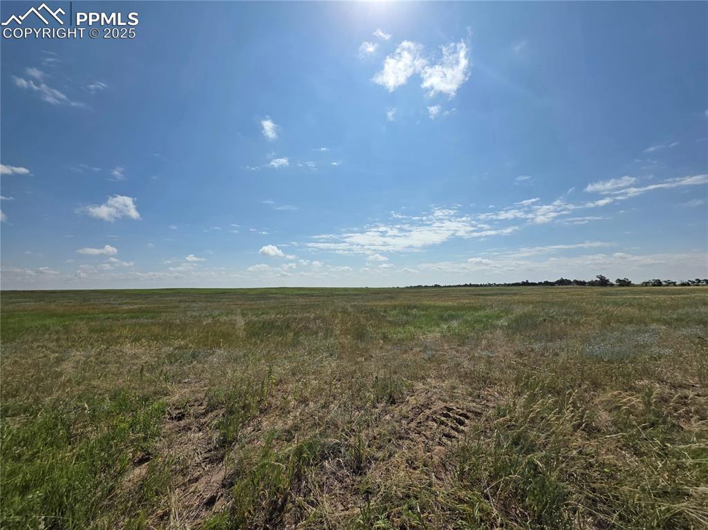 Image 27 of 30: Lot - 6685
