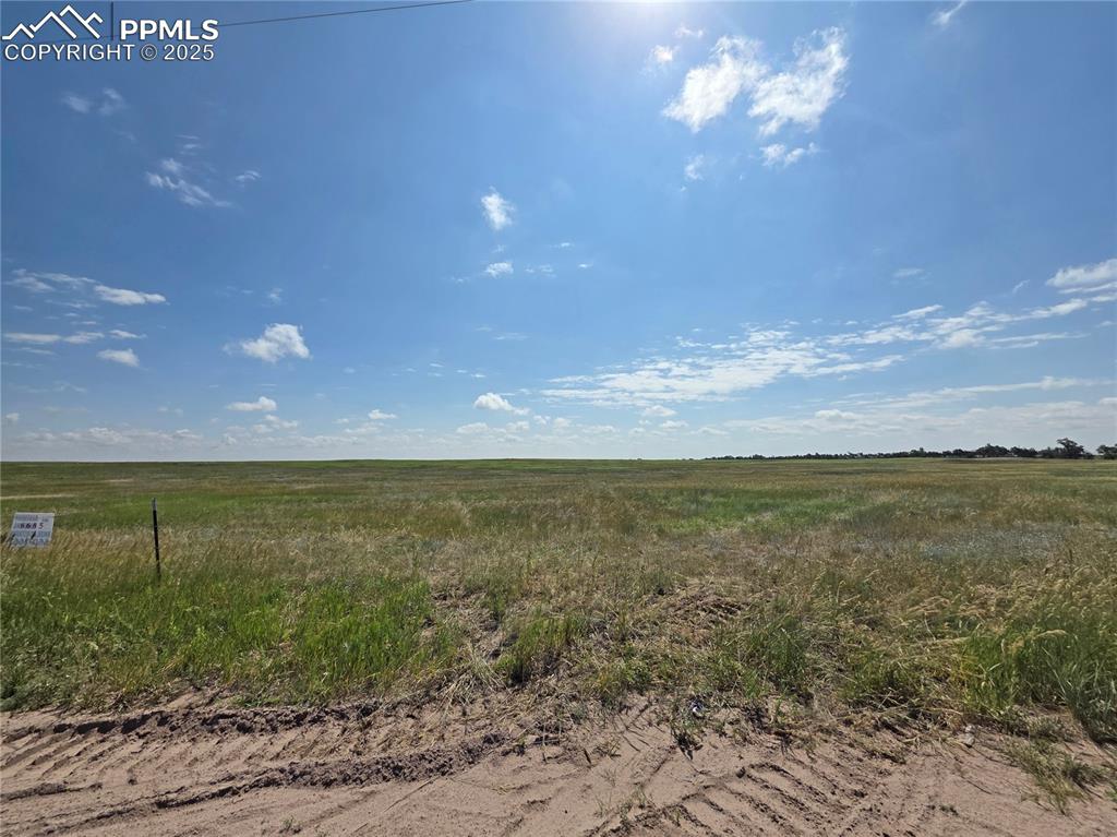 Image 29 of 30: Lot - 6685