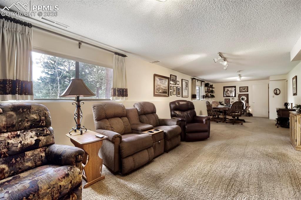 Image 14 of 42: Basement family room with fireplace