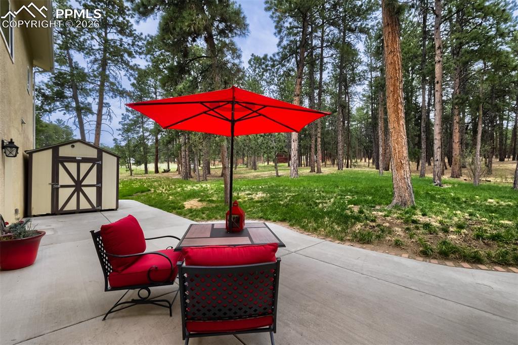 Image 33 of 42: back patio overlooking gorgeous trees and personal walking trail