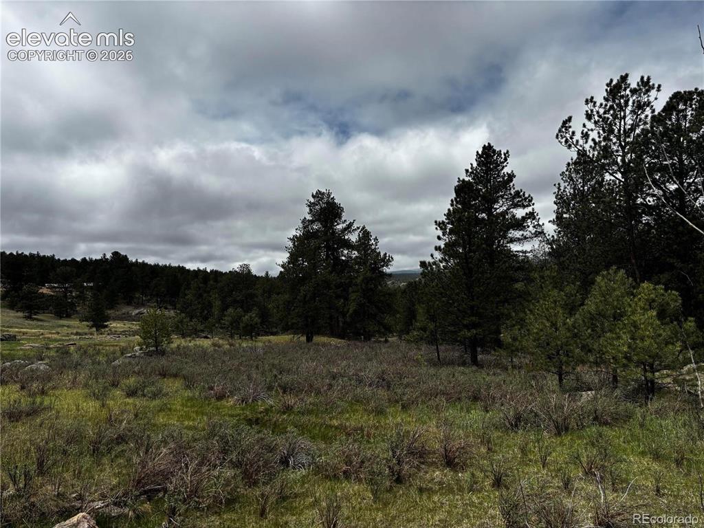 Image 8 of 9: Other